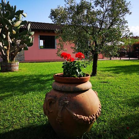 Caise Villa Castelnuovo Magra Eksteriør billede